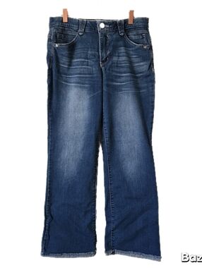 Democracy Jeans Womens Size 6 Ab Solution Blue